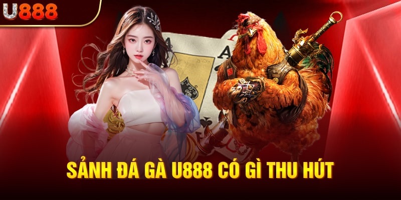 Khám phá quy mô sảnh cược đá gà U888