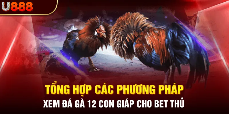 Một số phương pháp xem đá gà 12 con giáp chuẩn