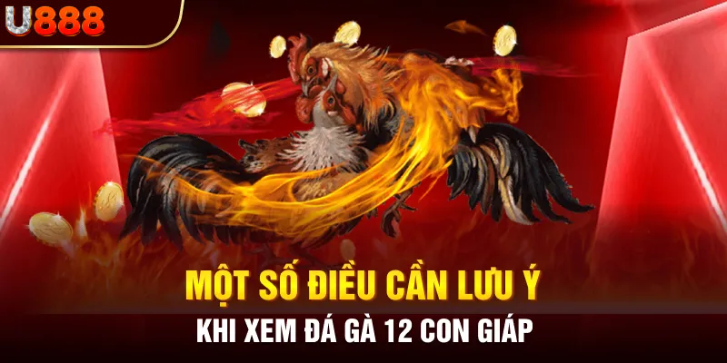 Các lưu ý quan trọng trong đá gà 12 con giáp