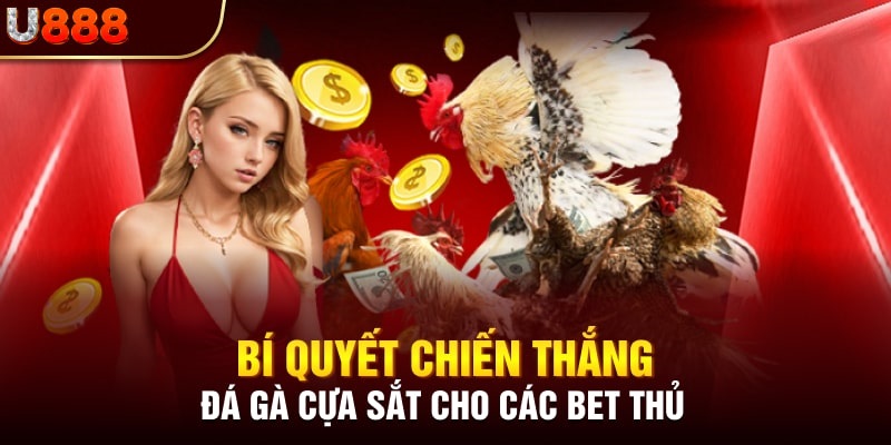 Kinh nghiệm chơi đá gà cựa sắt luôn luôn thắng